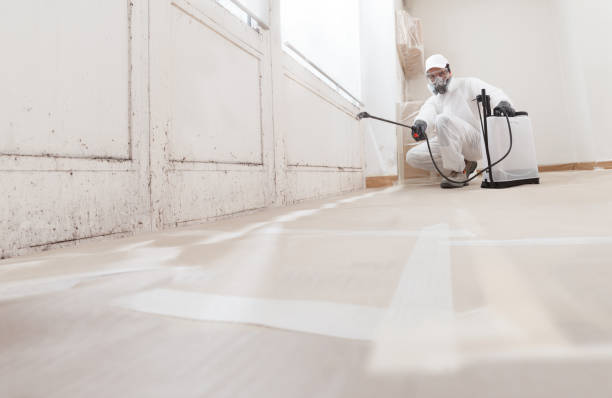 24/7 Emergency Commercial Mold Remediation experts in Lebanon, VA
