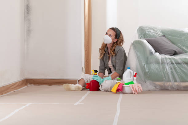 Reliable Commercial Mold Remediation contractor in Lebanon, VA by WQB Mold Removal